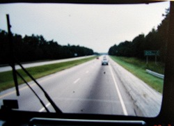 greyhound01.jpg
